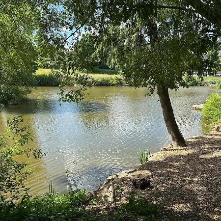 Mit Terrasse - Hunde Willkommen * Falkenstein (Upper Palatinate)