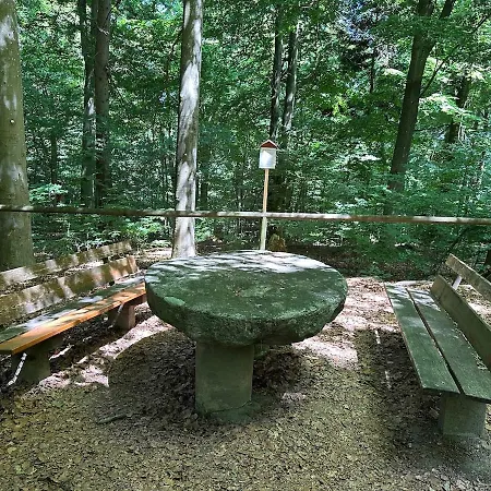 Mit Terrasse - Hunde Willkommen Apartmán Falkenstein (Upper Palatinate)