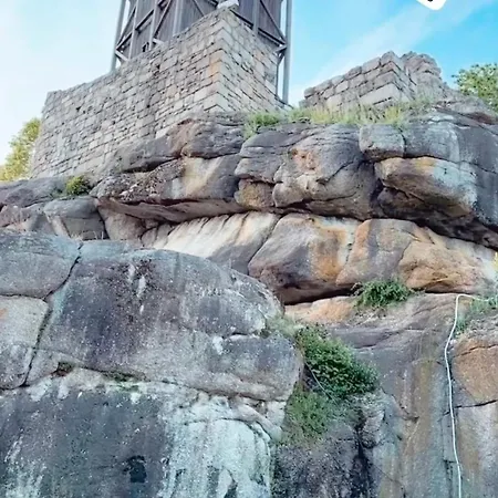 Mit Terrasse - Hunde Willkommen Apartmán Falkenstein (Upper Palatinate)
